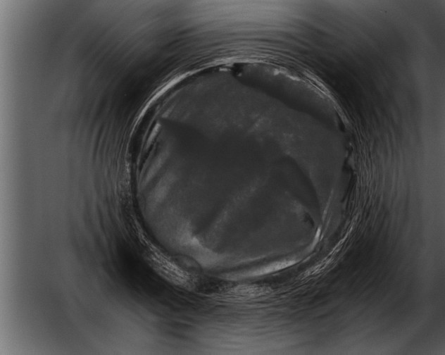 X0000052630779200507160129