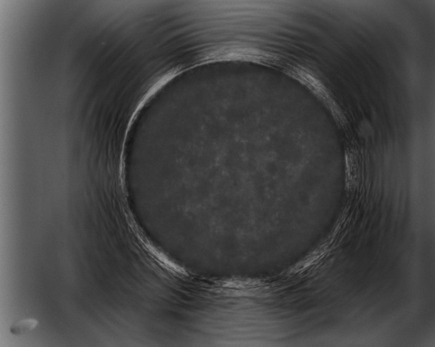 X0000052630780200507160129