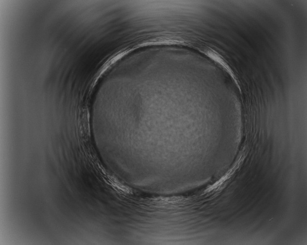 X0000052630781200507160129