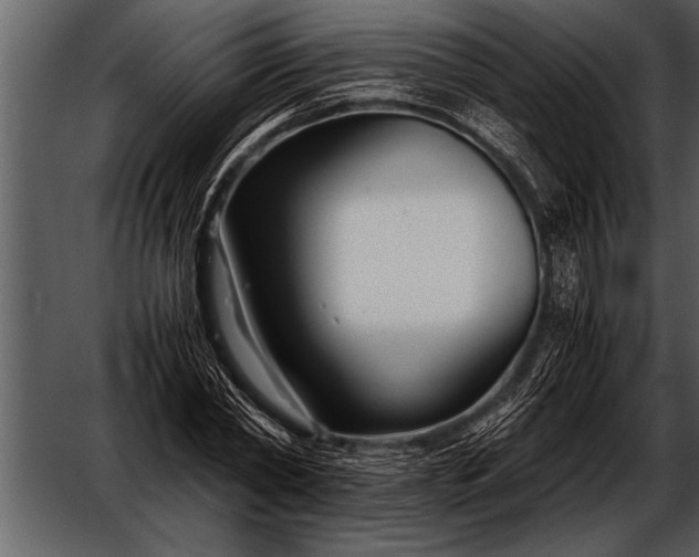 X0000052630782200507160129