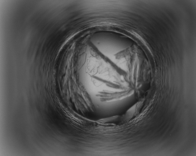 X0000052630783200507160129