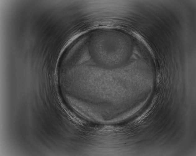 X0000052630787200507160129