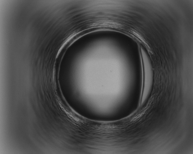 X0000052630788200507160129