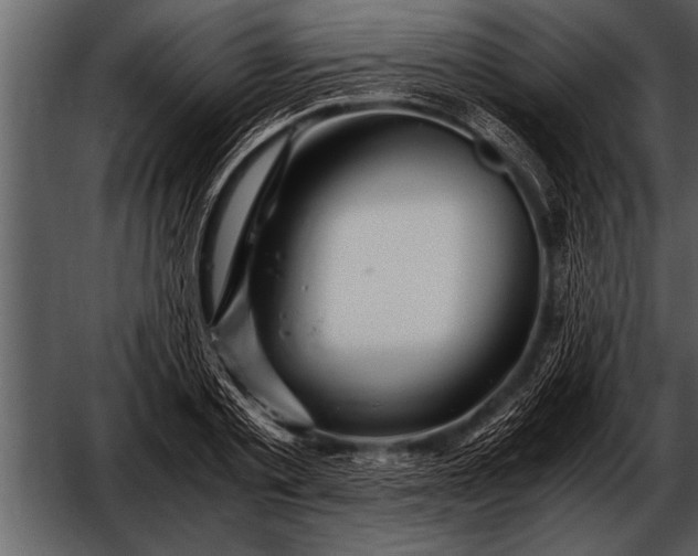 X0000052630789200507160129