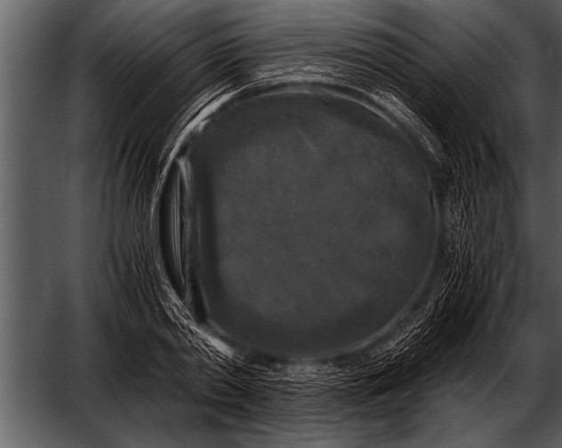 X0000052630790200507160129