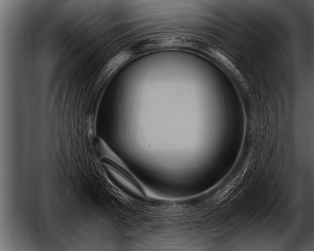 X0000052630793200507160129