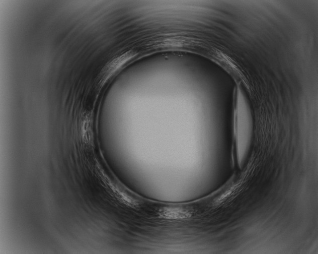 X0000052630794200507160129