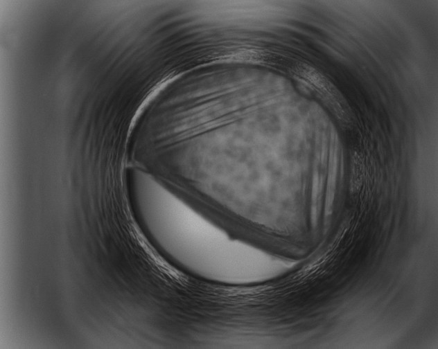 X0000052630796200507160129