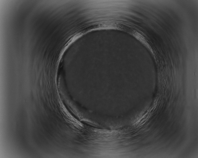 X0000052630797200507160129