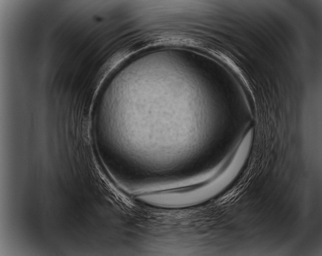 X0000052630799200507160129