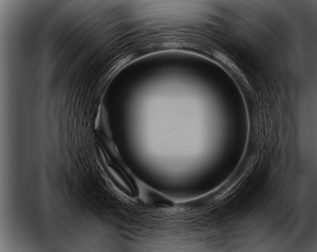 X0000052630801200507160129