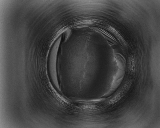 X0000052630802200507160129