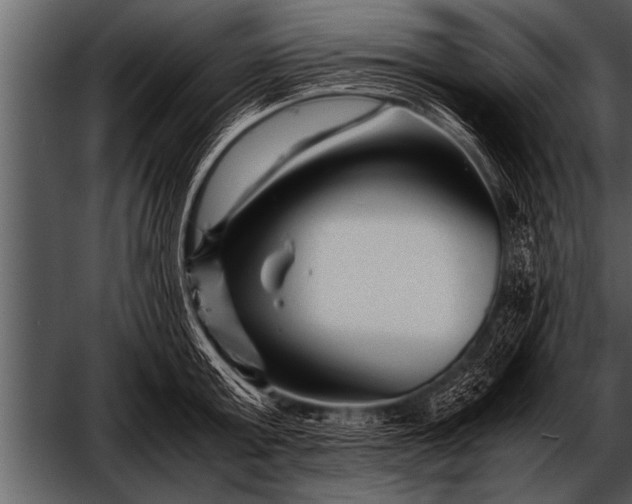 X0000052630803200507160129