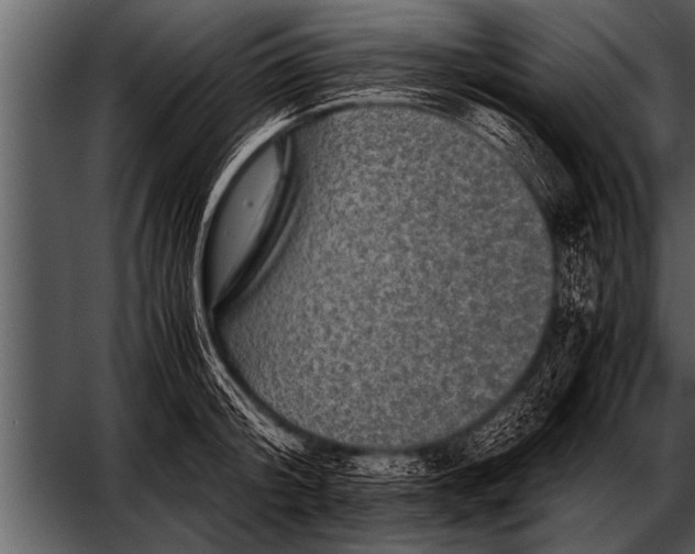 X0000052630804200507160129