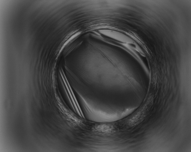 X0000052630806200507160129