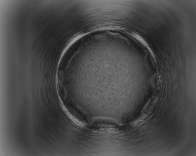 X0000052630811200507160129