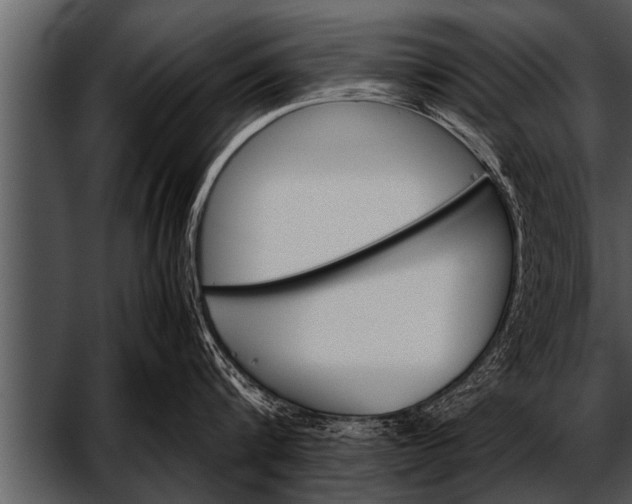 X0000052630816200507160129