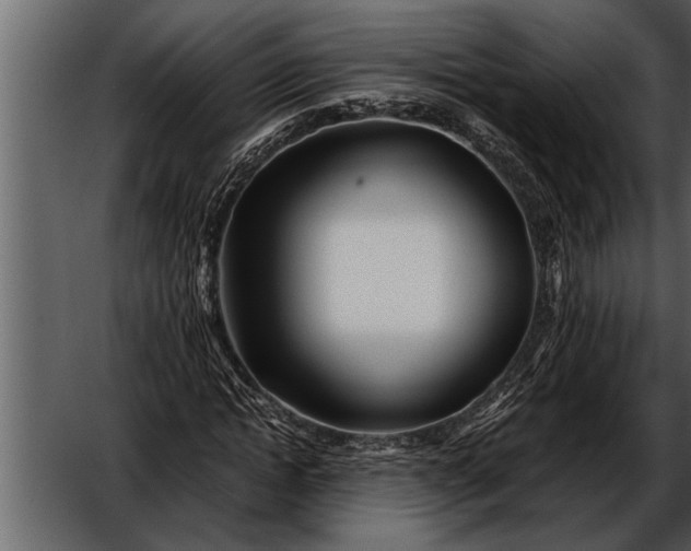 X0000052630822200507160128