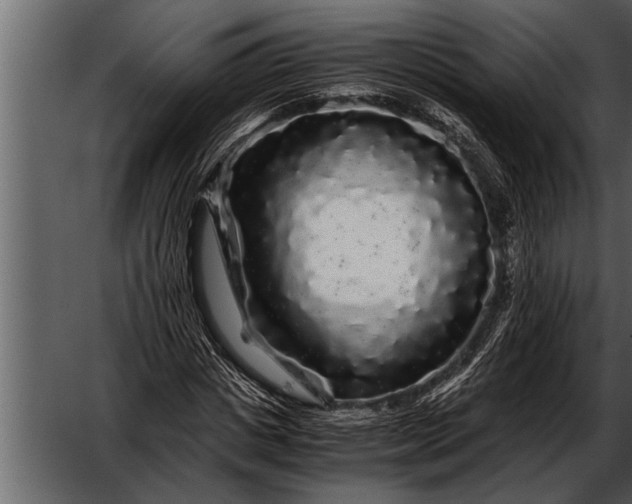 X0000052630825200507160128