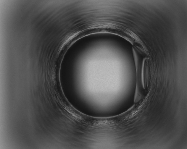X0000052630826200507160128