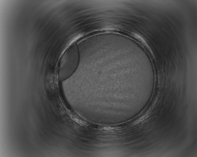 X0000052630827200507160128