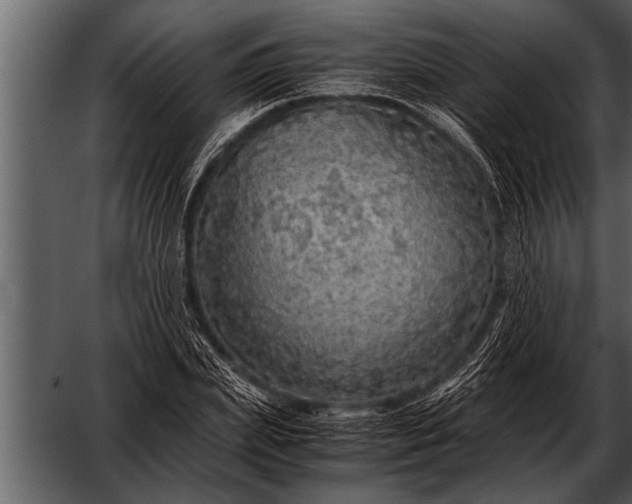 X0000052630831200507160128