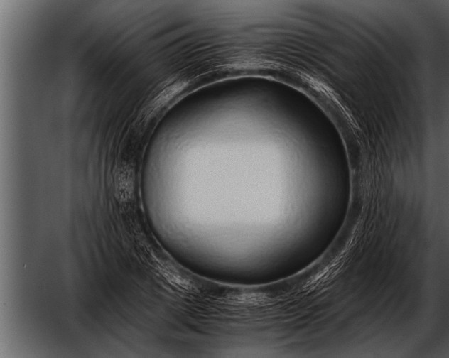X0000052630833200507160128