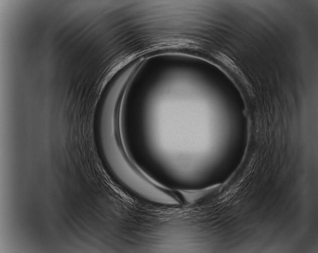 X0000052630834200507160128
