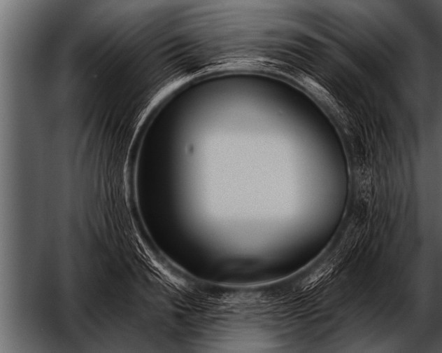 X0000052630846200507160128