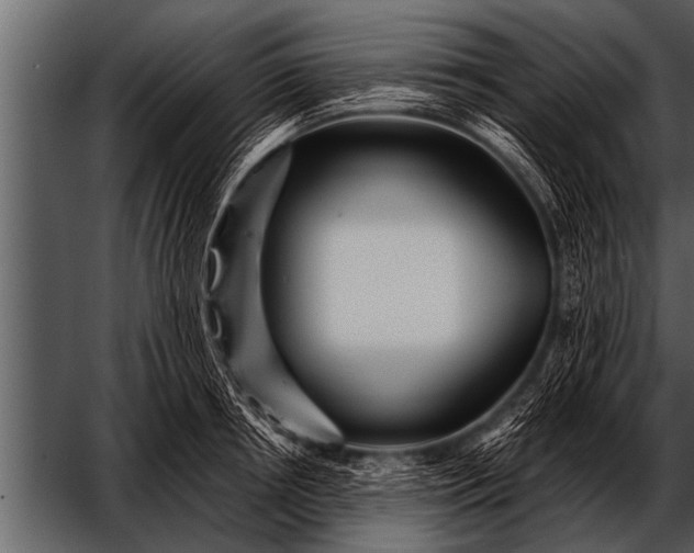 X0000052630850200507160129