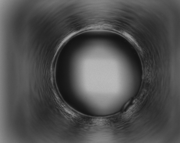 X0000052630854200507160129