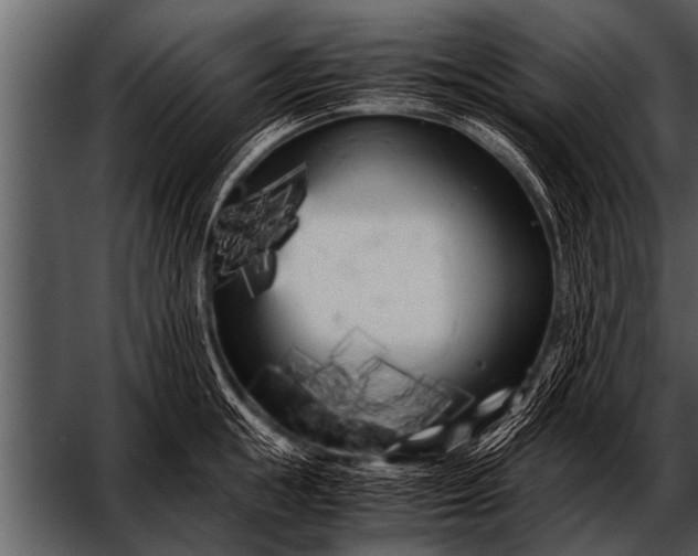 X0000052630855200507160129