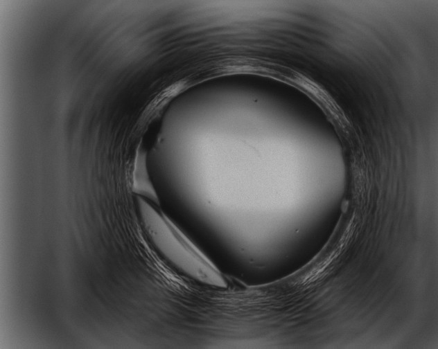 X0000052630857200507160129