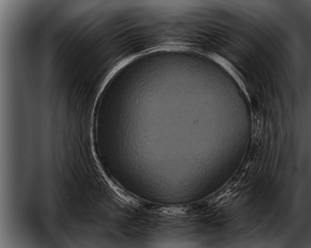 X0000052630861200507160129
