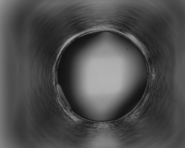 X0000052630862200507160129