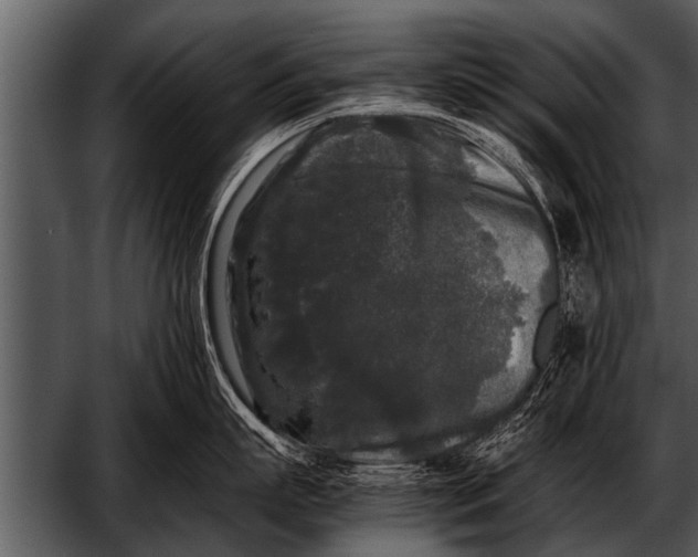 X0000052630863200507160129