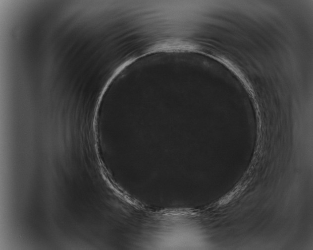 X0000052630864200507160129