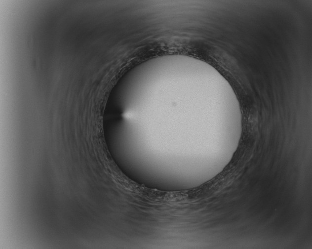 X0000052630865200507160128