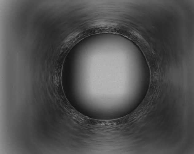 X0000052630869200507160128
