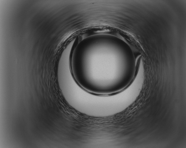 X0000052630871200507160128
