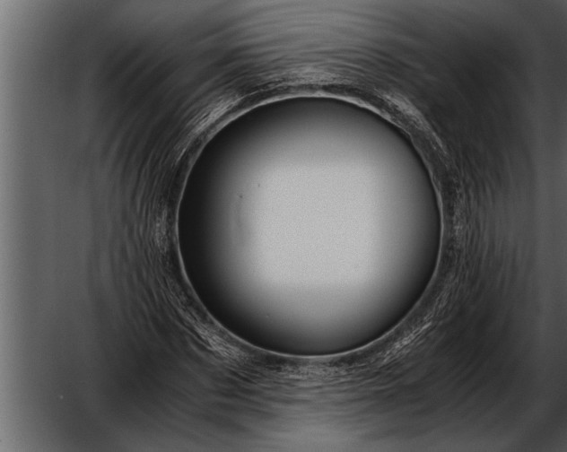 X0000052630873200507160128