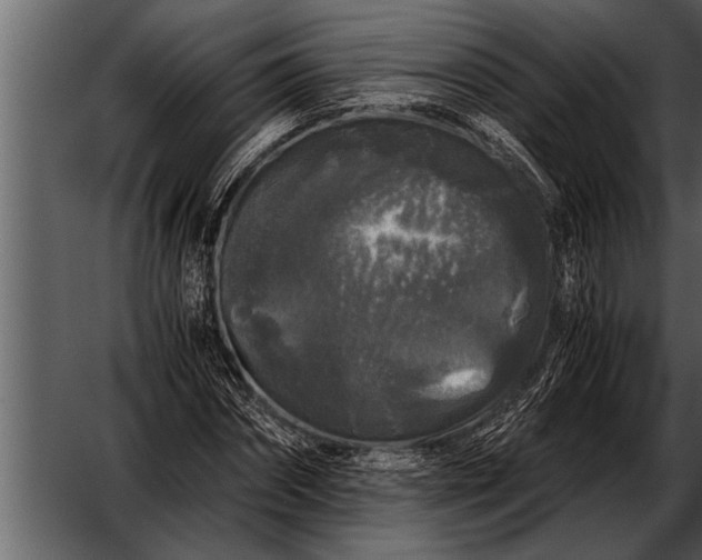 X0000052630874200507160128