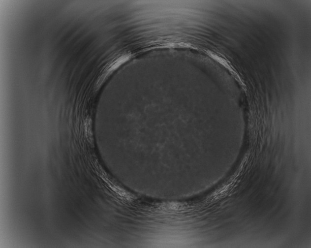 X0000052630881200507160128