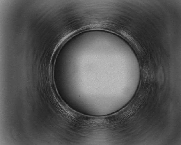 X0000052630886200507160128