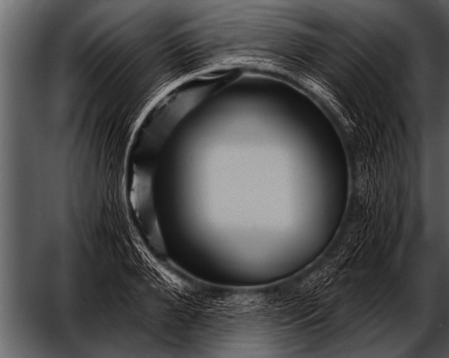 X0000052630888200507160128