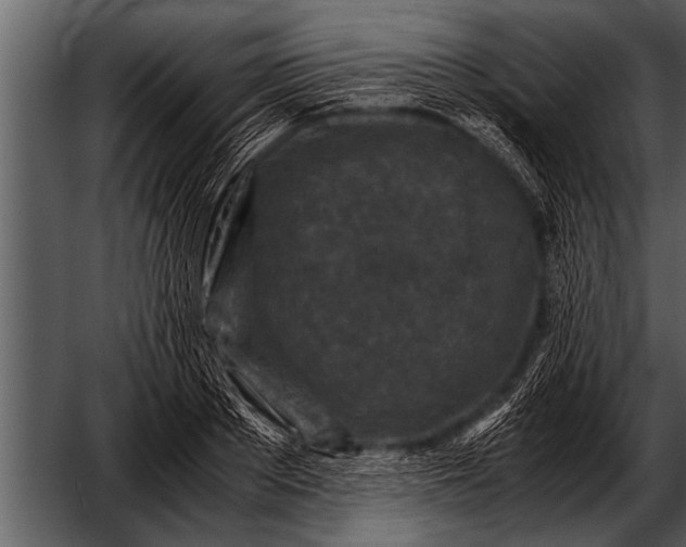X0000052630889200507160128