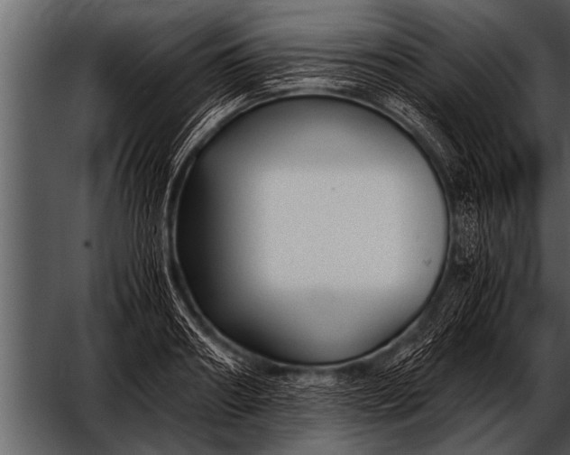 X0000052630890200507160128
