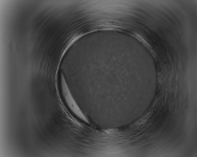 X0000052630891200507160127