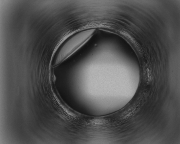 X0000052630894200507160127
