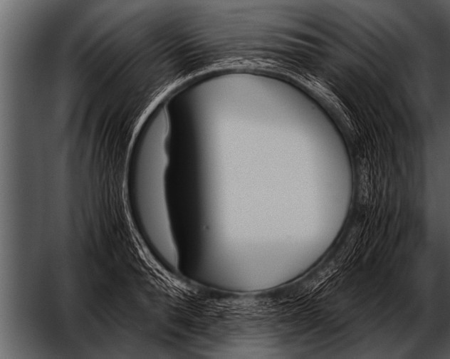 X0000052630896200507160127